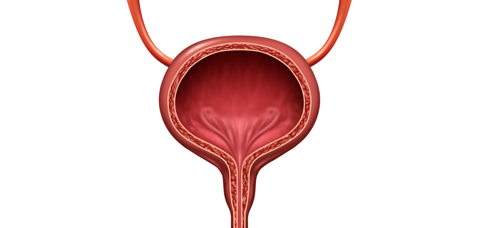 Bladder Control | UT Health East Texas