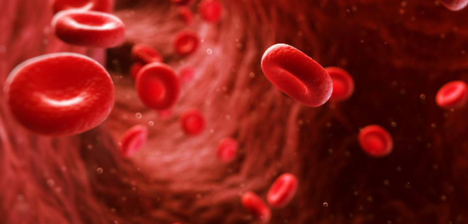 Coronary Artery Disease Sub Service Image Coronary Artery Disease Sub Service Image