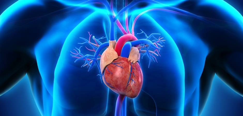 Heart Attack Sub Service Image Heart Attack Sub Service Image