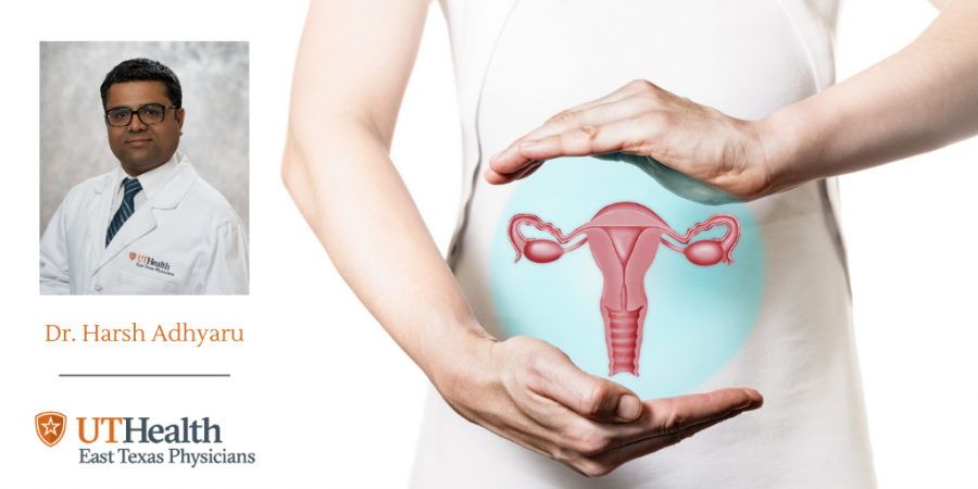 graphic of a woman's internal ovaries